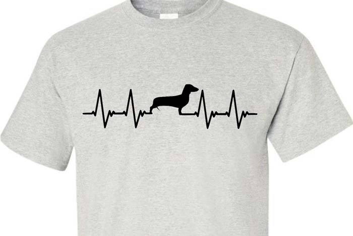 Differentiation in heartbeat shirt for dogs